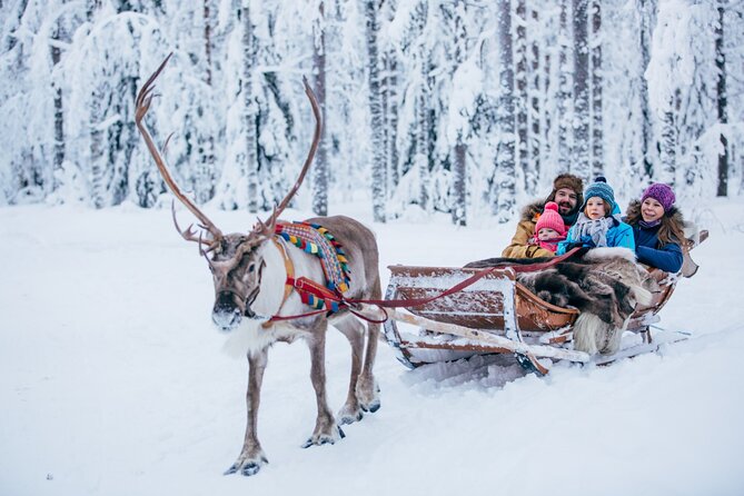 Reindeer Sleigh Ride and Farm Experience from Rovaniemi - What this Rovaniemi reindeer experience is really like