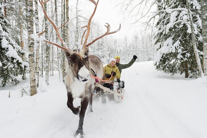 Reindeer Sleigh Ride and Farm Experience from Rovaniemi - Authentic farm visit or commercial attraction?