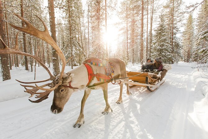 Reindeer Sleigh Ride and Farm Experience from Rovaniemi - Is $142.97 a fair price?