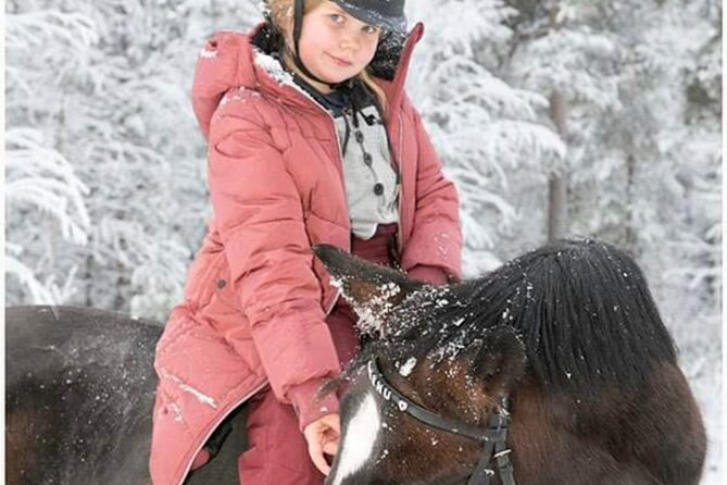 Riding Tour with Finnhorses at Santa Claus Village - Riding at the Pace of the Least Experienced Person