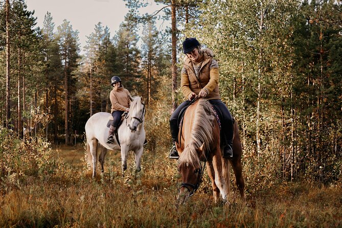 Riding Tour with Finnhorses at Santa Claus Village - Who Will Enjoy This Most?