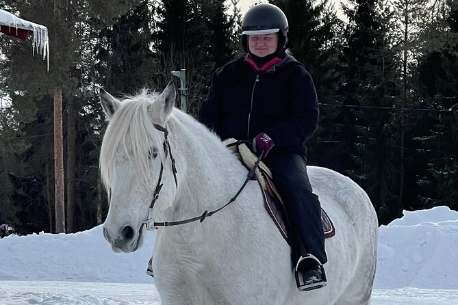 Riding Tour with Finnhorses at Santa Claus Village - Timing, Cancellation, and Practical Planning