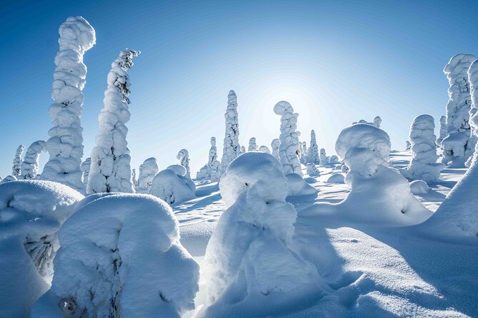 Riisitunturi wilderness adventure - Four hours among Arctic views