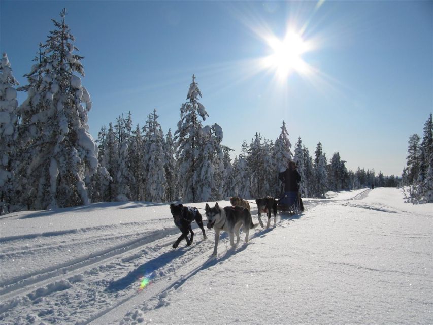 Rovaniemi: Apukka Husky Adventure - Getting dressed for Finnish winter