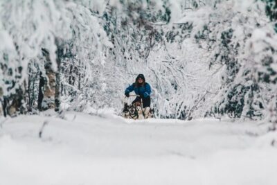 Apukka Husky Adventure