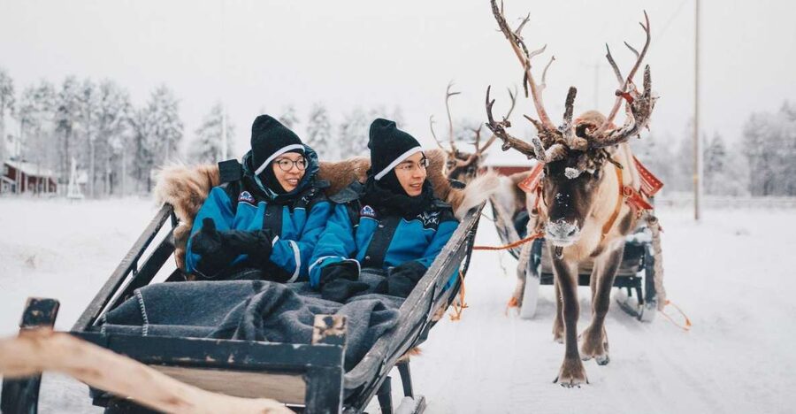 Rovaniemi: Apukka Reindeer Journey - The 40 to 50-minute sleigh ride