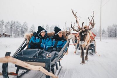 Apukka Reindeer Journey