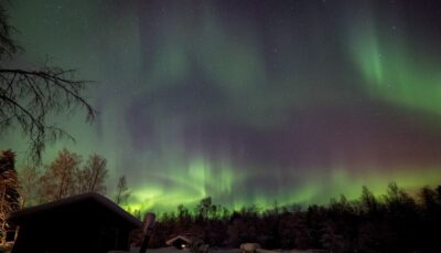 Apukka Reindeer Sleigh Ride at Night