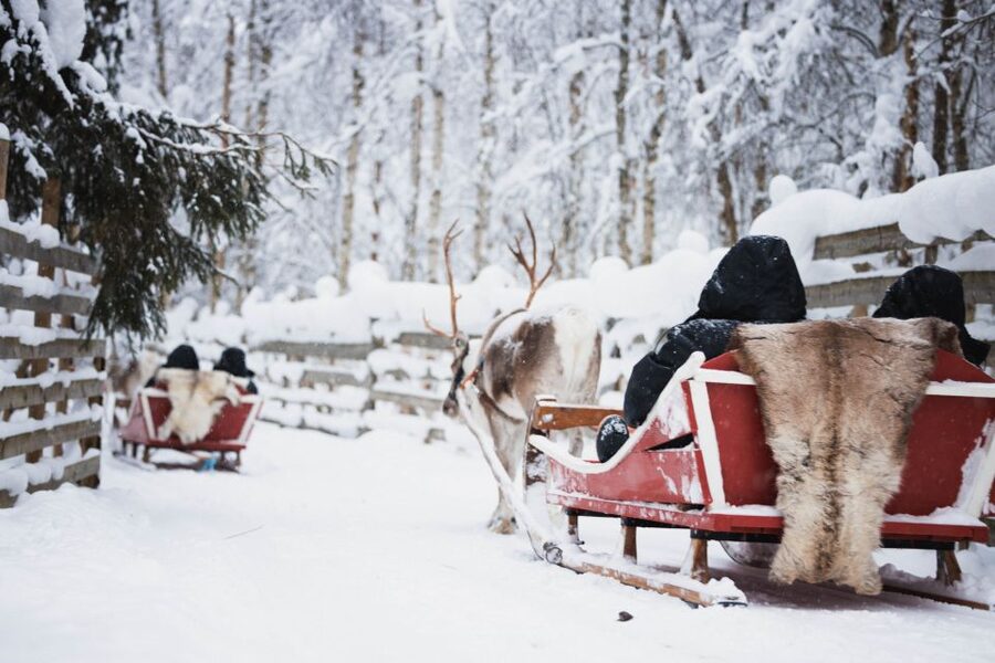 Rovaniemi: Arctic Circle Highlights by Snowmobile - Salmon soup by the fire