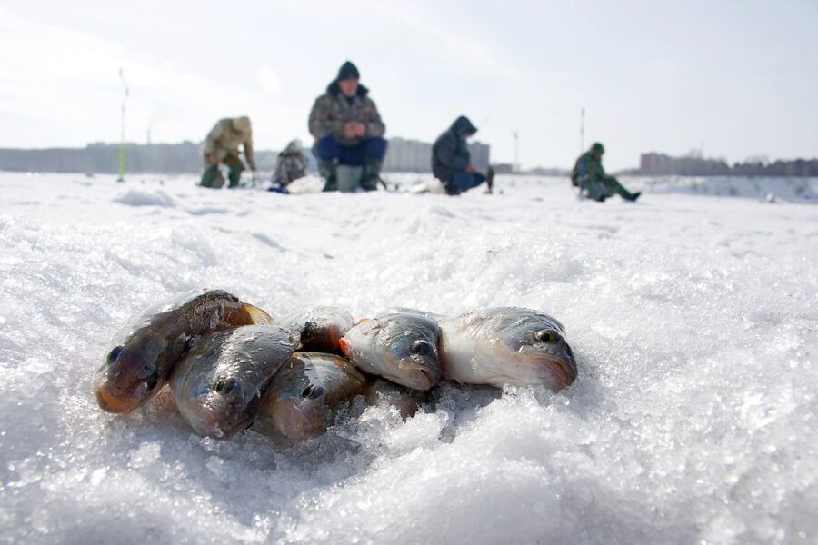 Rovaniemi: Arctic Circle Ice Fishing Experience - Campfire food and a welcome warm-up