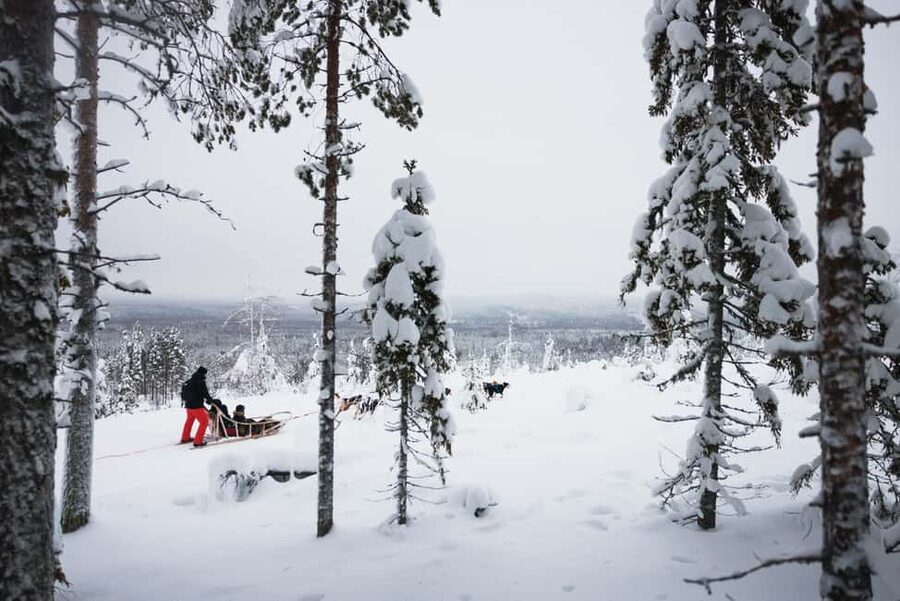 Rovaniemi: Arctic Circle Long Trail Husky Adventure - Is $226 a Fair Price?