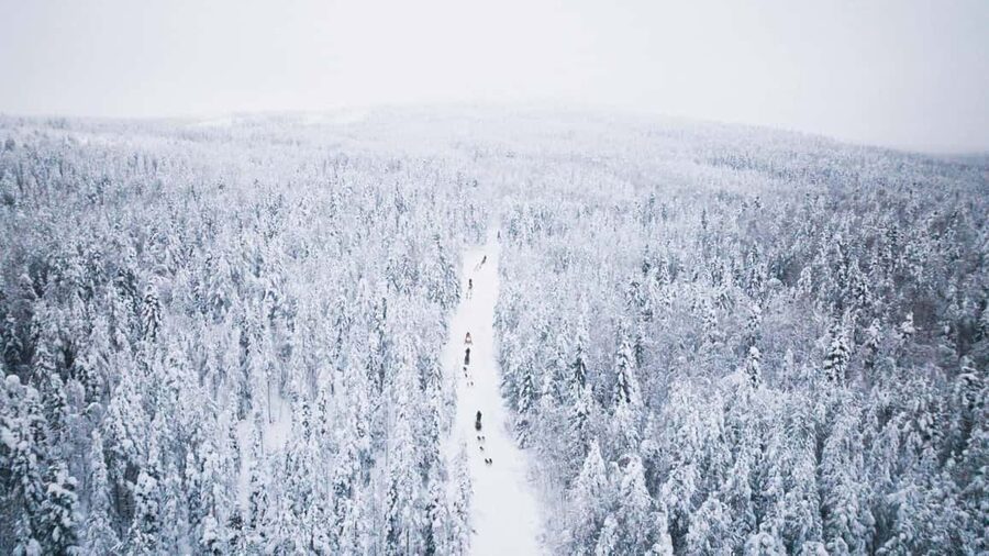 Rovaniemi: Arctic Circle Long Trail Husky Adventure - What to Bring and What to Leave Behind