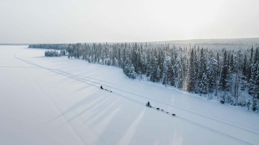 Rovaniemi: Arctic Circle Long Trail Husky Adventure - Getting Ready to Mush Your Own Team