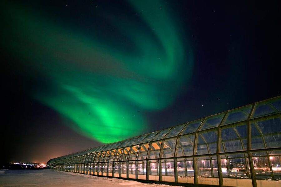 Rovaniemi: Arktikum Science Centre and Museum Entry Ticket - Arctic nature, animals, and the changing seasons