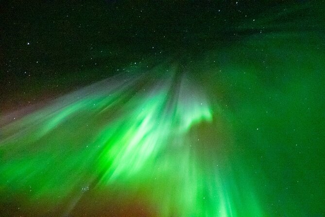 Rovaniemi: Aurora BBQ at the Best Spots - First stop: an Arctic lake and forest