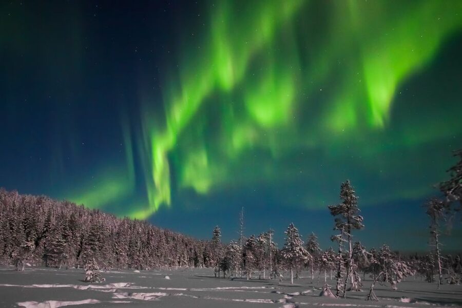 Rovaniemi: Aurora Borealis and Picnic - Practical details that can save your evening