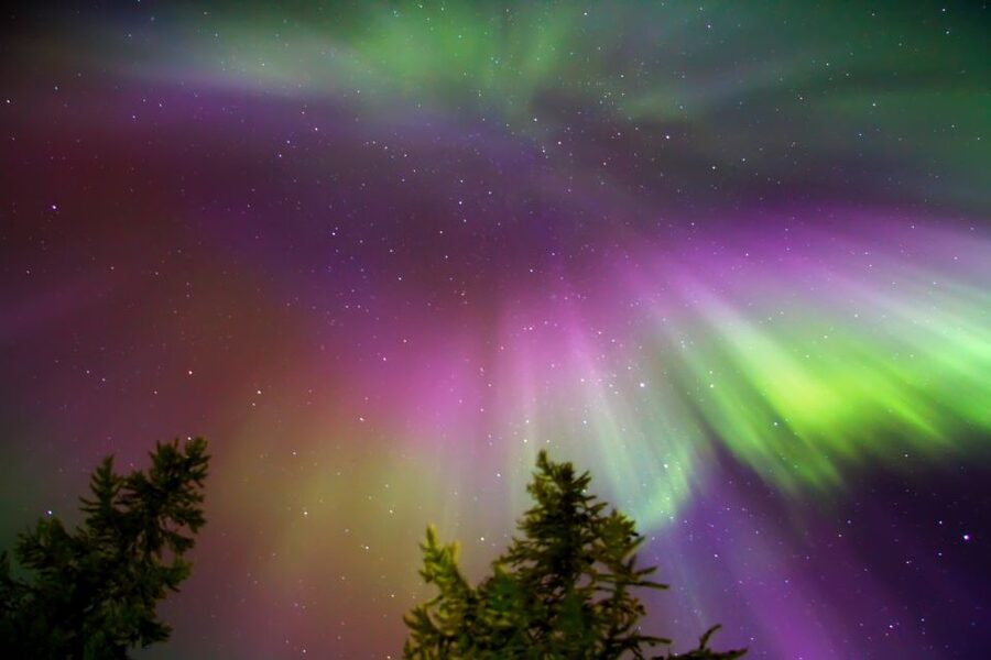 Rovaniemi: Aurora Borealis Snowmobile Safari with Campfire - Is $163 a Fair Price?