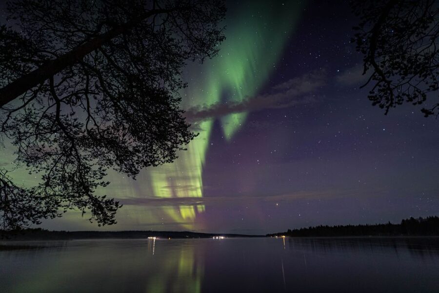 Rovaniemi: Aurora Borealis Tour - The campfire break with sausages and marshmallows
