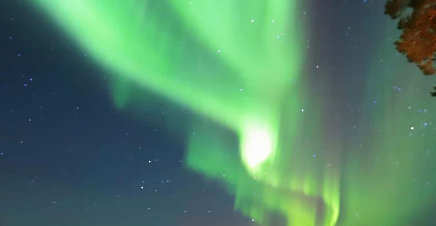 Rovaniemi: Aurora Borealis Trip – Autumn - Key points to know before booking