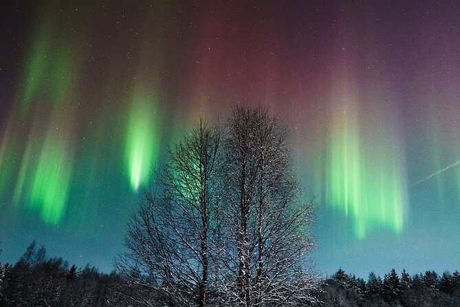 Rovaniemi: Aurora Hunt with Photograph & money back guarantee - Key points to know before you book