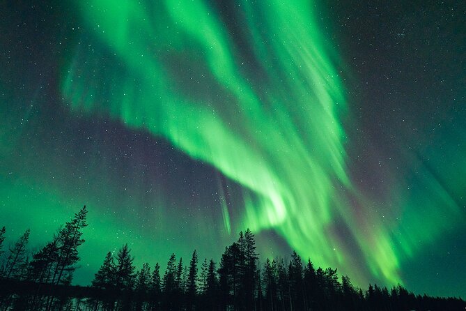 Rovaniemi: Aurora Hunt with Photograph & money back guarantee - Pickup in central Rovaniemi at 6:00 pm