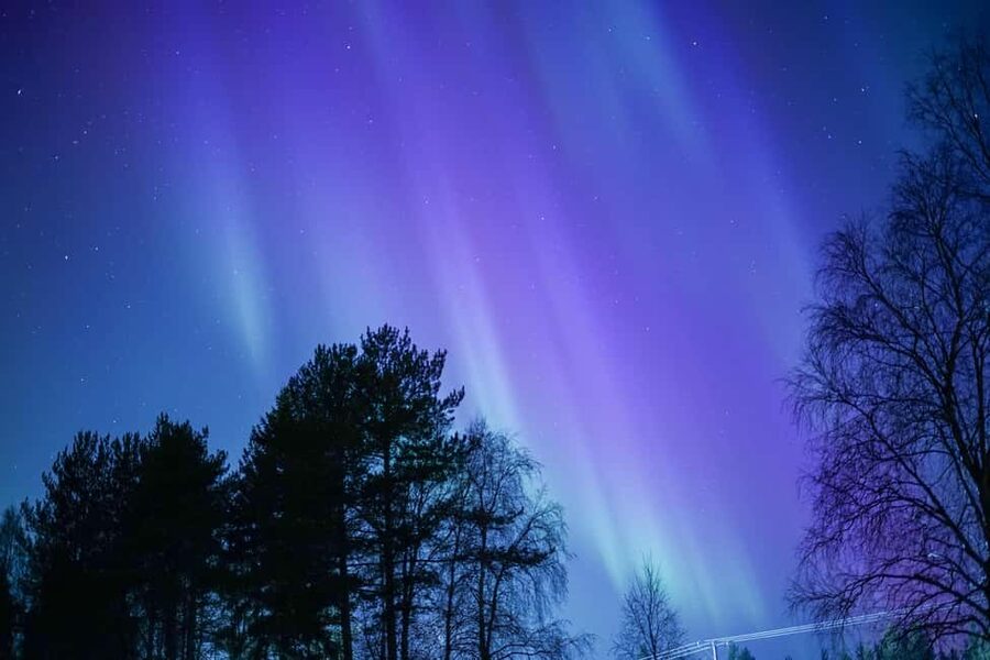 Rovaniemi: Aurora hunting and a fireside BBQ experience - Who will enjoy this Rovaniemi evening