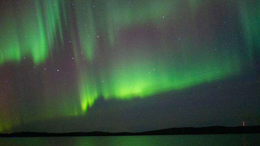 Rovaniemi: Aurora hunting and a fireside BBQ experience - Practical details that can save you trouble