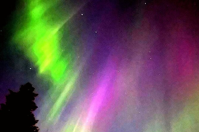 Rovaniemi: Aurora Hunting & Photography Tour - Key points at a glance