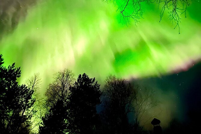 Rovaniemi: Aurora Hunting & Photography Tour - How the five-hour route can unfold
