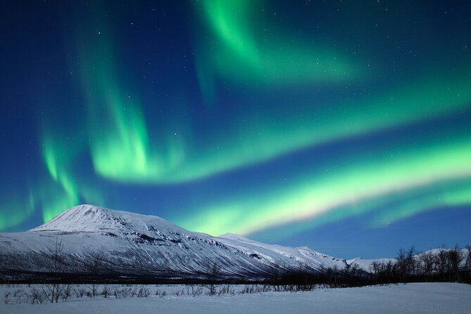 Rovaniemi Aurora Hunting Tour - Forest paths, open skies, and a frozen lake