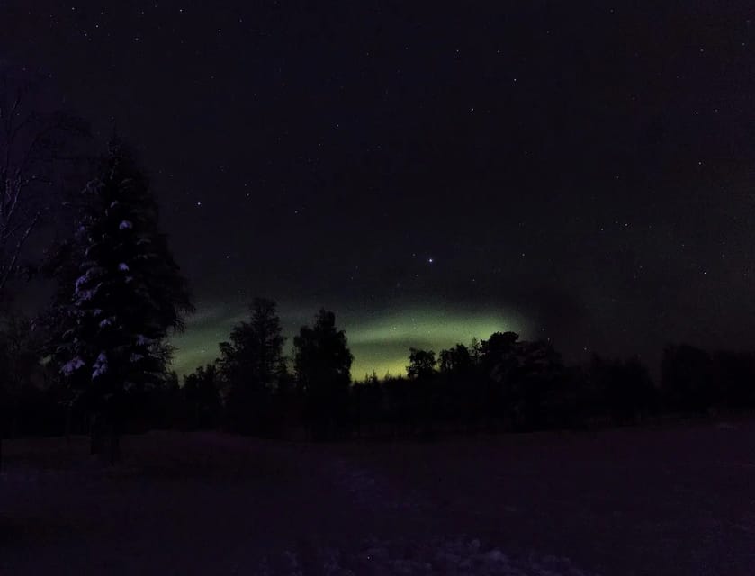 Rovaniemi: Aurora Hunting Tour in the Forest with Hot Drinks - Key points at a glance
