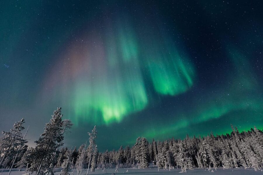Rovaniemi: Aurora Hunting Tour in the Forest with Hot Drinks - Why the forest search adds value
