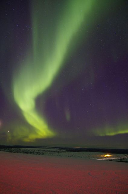 Rovaniemi: Aurora Hunting Tour with Photography by Van - The drive into Lapland’s dark country