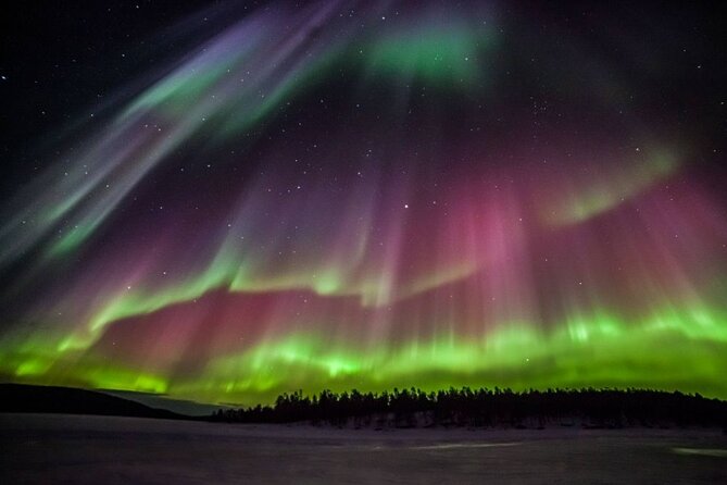 Rovaniemi Aurora Hunting Tour - Pickup and the changing departure time