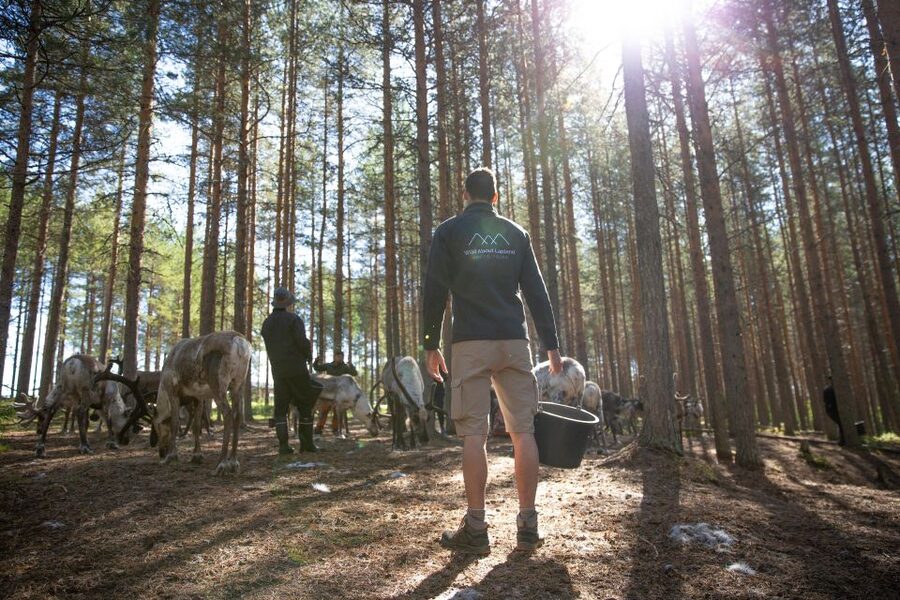 Rovaniemi: Authentic Reindeer Farm & Canoeing - Practical details that can make the day better