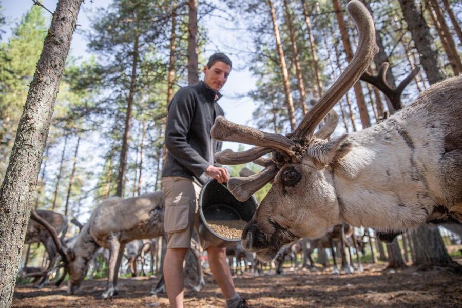 Rovaniemi: Authentic Reindeer Farm & Canoeing - What the weather can change