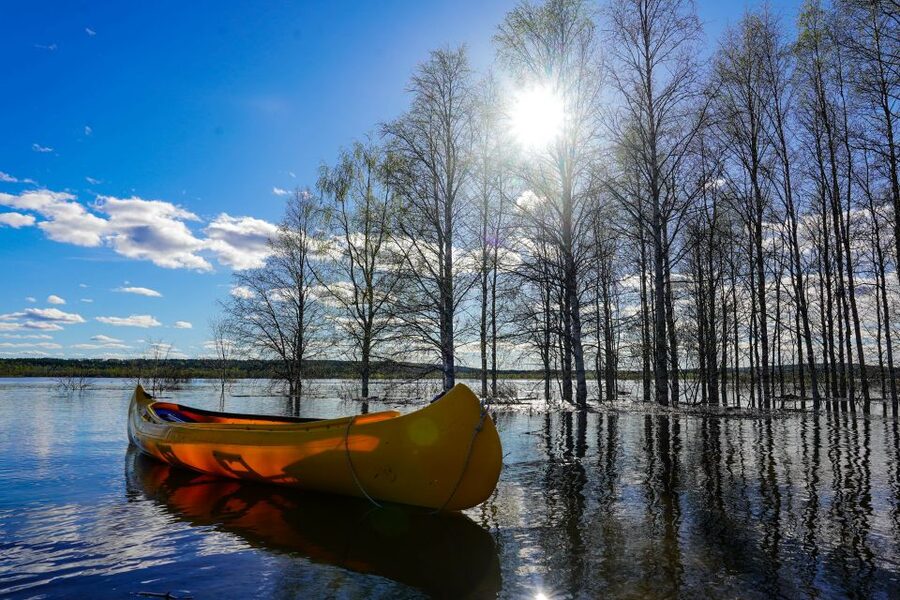 Rovaniemi: Authentic Reindeer Farm & Canoeing - Is $152 a fair price?