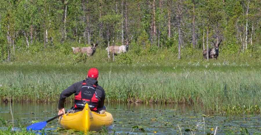Rovaniemi: Authentic Reindeer Farm & Canoeing - Hotel pickup and the trip beyond central Rovaniemi