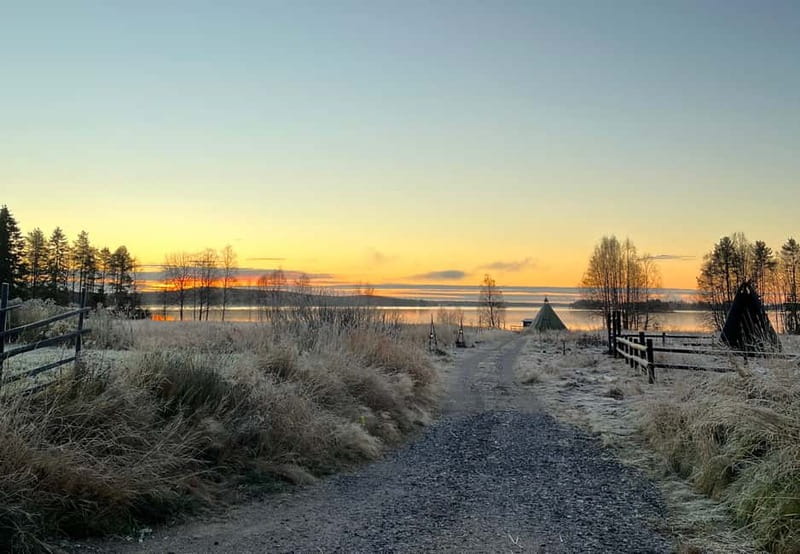 Rovaniemi: Autumn Husky Ride on Wheels - Key points at a glance