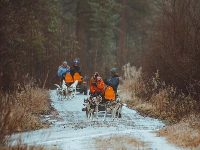 Rovaniemi: Autumn Husky Ride on Wheels - The route through fields and forest
