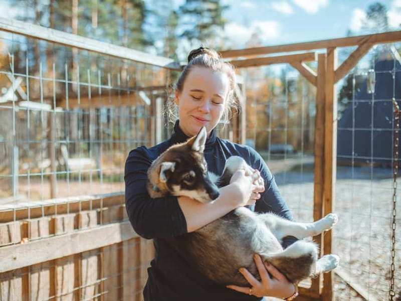 Rovaniemi: Autumn Husky Ride on Wheels - Hot berry juice and the stories after the ride