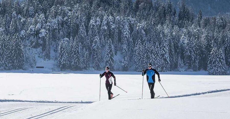 Rovaniemi: Cross Country Wilderness Ski Adventure - Key points to know before booking