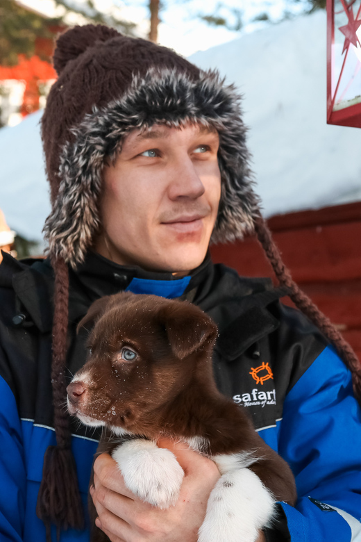 Rovaniemi: Daytime Husky Safari - The Safety Briefing And The 5km Run