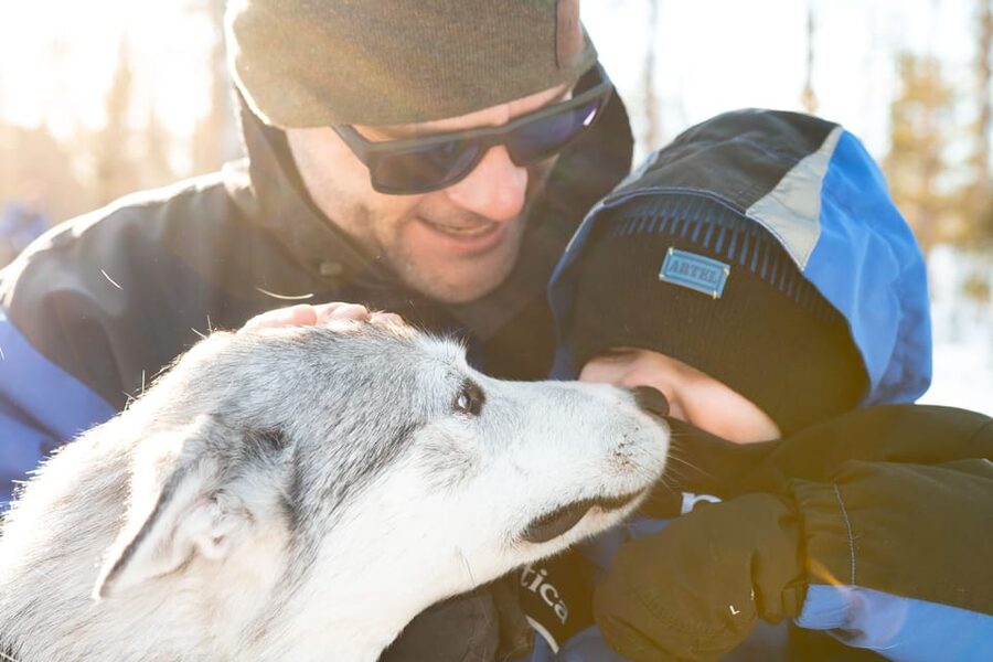 Rovaniemi: Daytime Husky Safari - Warm Clothes, Hot Berry Drinks, And The Hut