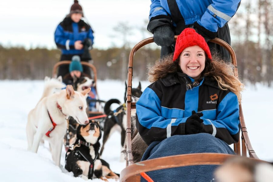 Rovaniemi: Daytime Husky Safari - How The Two-Hour Schedule Really Works