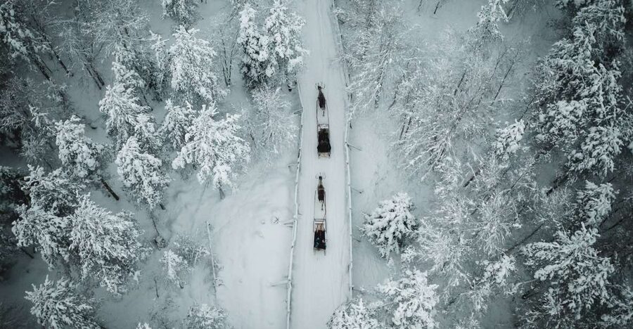 Rovaniemi: Daytime Reindeer Sleigh Ride - Why this short Rovaniemi reindeer ride works