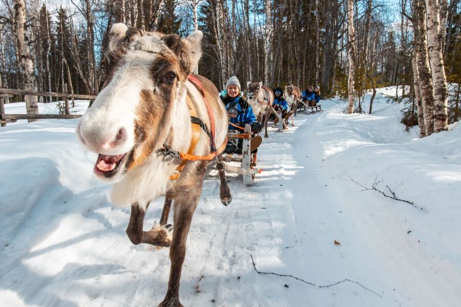 Rovaniemi: Daytime Reindeer Sleigh Ride - Warming up inside the Finnish kota