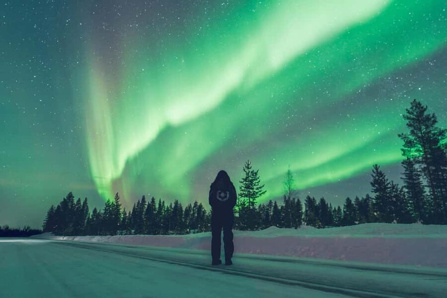 Rovaniemi: Discover the Northern Lights Photography Tour - Comfort, timing, and winter demands