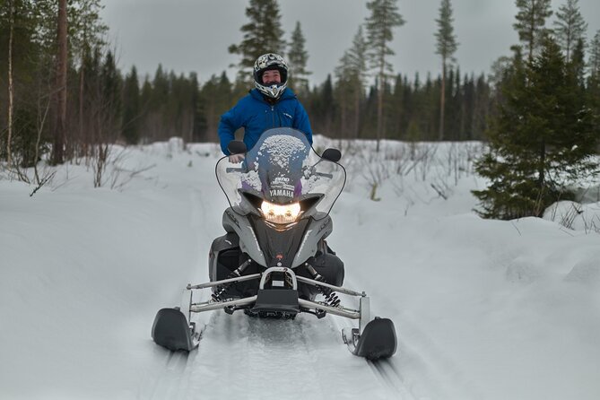 Rovaniemi: Drive New 2025 Snowmobiles on Arctic Safari & BBQ - What this Rovaniemi snowmobile trip is really like