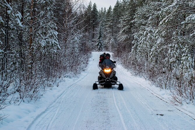 Rovaniemi: Drive New 2025 Snowmobiles on Arctic Safari & BBQ - Meeting in central Rovaniemi at Valtakatu 26